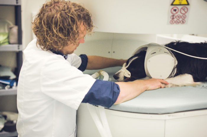 Mri