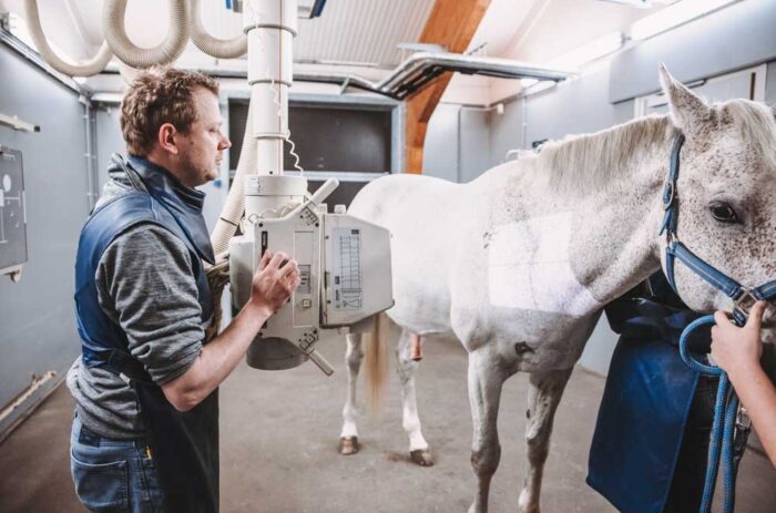 Rontgen keuring sjoerd frietman
