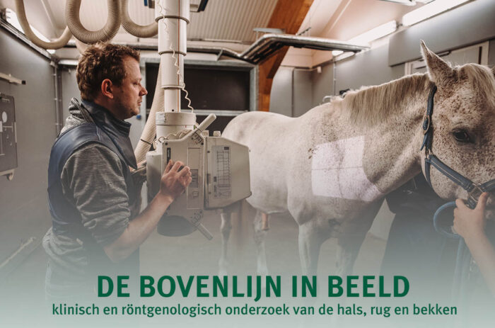Dierenkliniek voor gezelschapsdieren - Dierenkliniek Den Ham